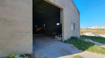 Surface diverse à Lourinhã e Atalaia de 264 m²