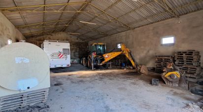 Surface diverse à Lourinhã e Atalaia de 264 m²