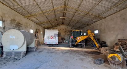 Surface diverse à Lourinhã e Atalaia de 264 m²