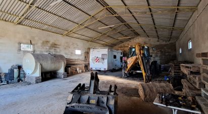 Surface diverse à Lourinhã e Atalaia de 264 m²