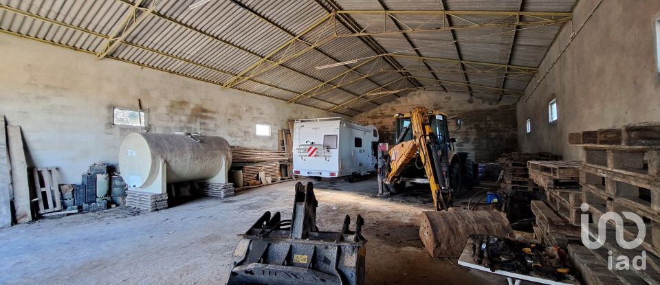 Surface diverse à Lourinhã e Atalaia de 264 m²