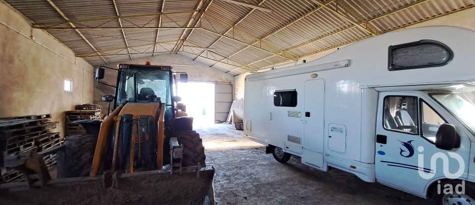 Surface diverse à Lourinhã e Atalaia de 264 m²