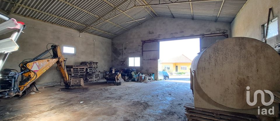 Surface diverse à Lourinhã e Atalaia de 264 m²