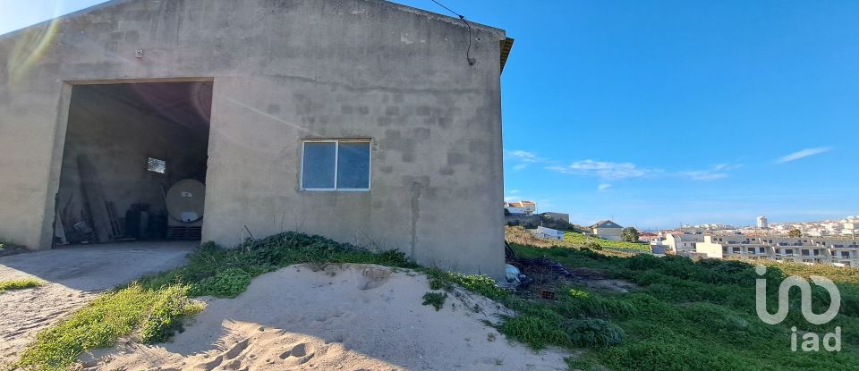 Surface diverse à Lourinhã e Atalaia de 264 m²