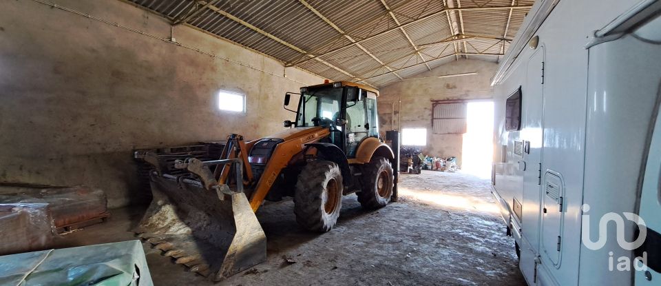 Surface diverse à Lourinhã e Atalaia de 264 m²