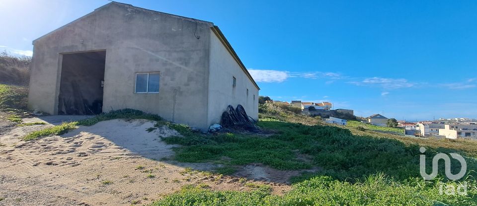 Surface diverse à Lourinhã e Atalaia de 264 m²