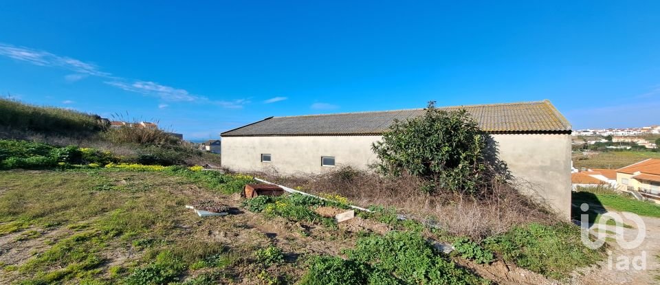 Surface diverse à Lourinhã e Atalaia de 264 m²