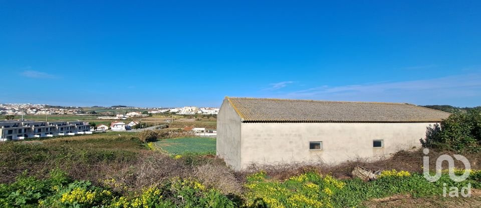 Surface diverse à Lourinhã e Atalaia de 264 m²