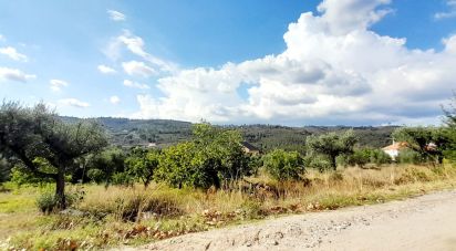 Terreno em Seixo da Beira de 3 060 m²