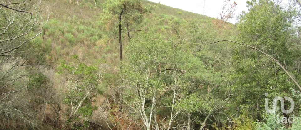 Domaine T0 à Santiago de Montalegre de 94 m²