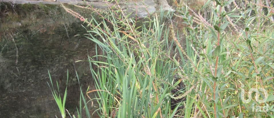 Domaine T0 à Santiago de Montalegre de 94 m²