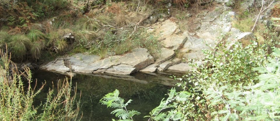 Domaine T0 à Santiago de Montalegre de 94 m²