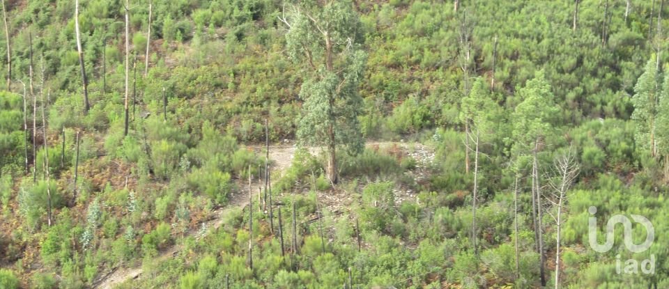 Domaine T0 à Santiago de Montalegre de 94 m²