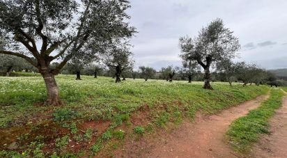 Terreno urbano em Podentes de 2 088 m²