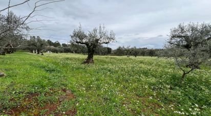 Terreno urbano em Podentes de 2 088 m²