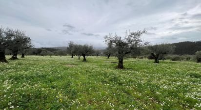 Terreno urbano em Podentes de 2 088 m²