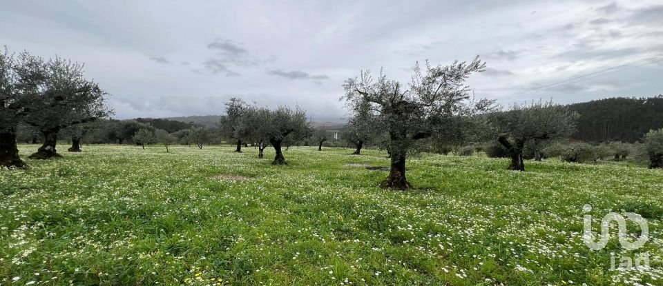 Terreno urbano em Podentes de 2 088 m²