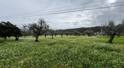 Terreno urbano em Podentes de 2 088 m²