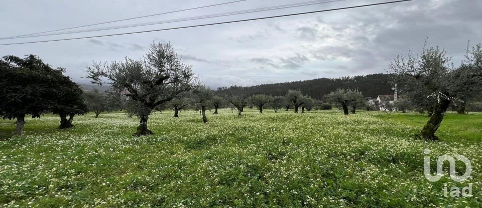 Terreno urbano em Podentes de 2 088 m²
