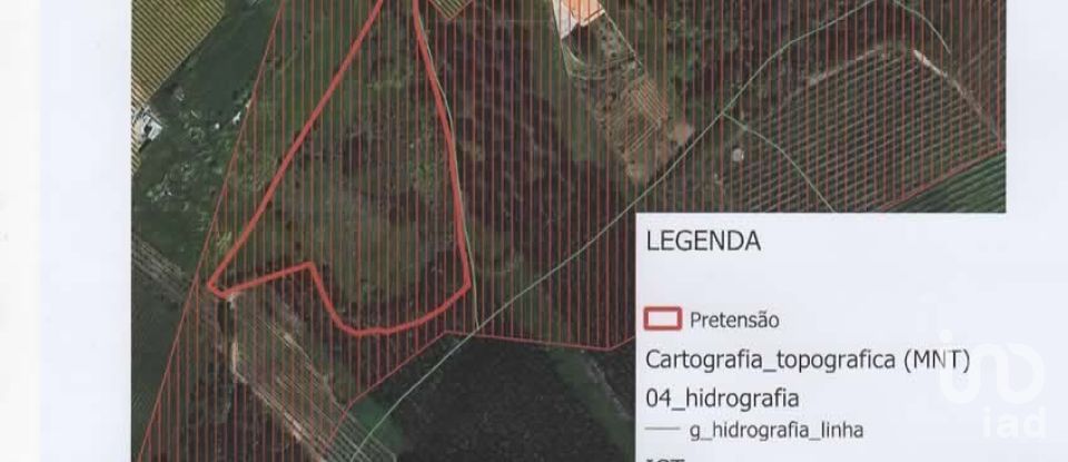 Terreno em Peral de 11 760 m²