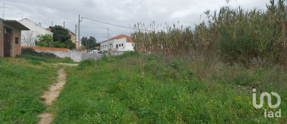 Parking in Santarém (Marvila), Santa Iria Da Ribeira De Santarém, Santarém (São Salvador) E Santarém (São Nicolau) of 300 m²