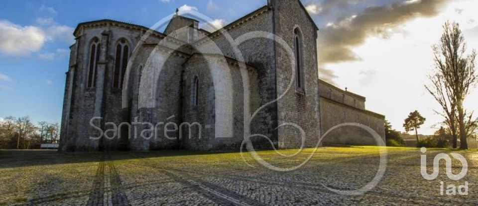 Parking in Santarém (Marvila), Santa Iria Da Ribeira De Santarém, Santarém (São Salvador) E Santarém (São Nicolau) of 300 m²