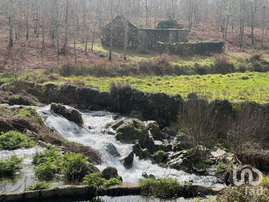 Terrain à Carvalhais e Candal de 26 258 m²