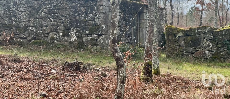 Terrain à Carvalhais e Candal de 26 258 m²