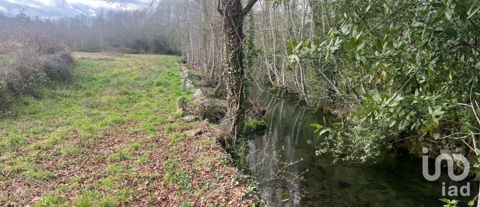 Terrain à Carvalhais e Candal de 26 258 m²