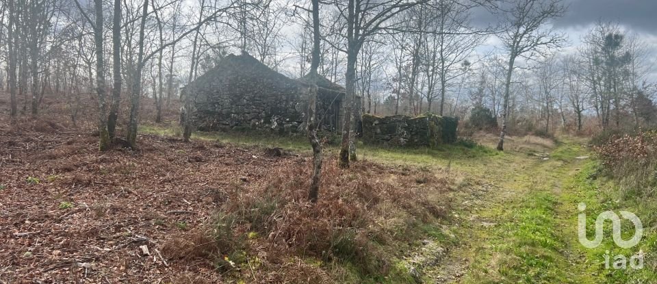 Terrain à Carvalhais e Candal de 26 258 m²