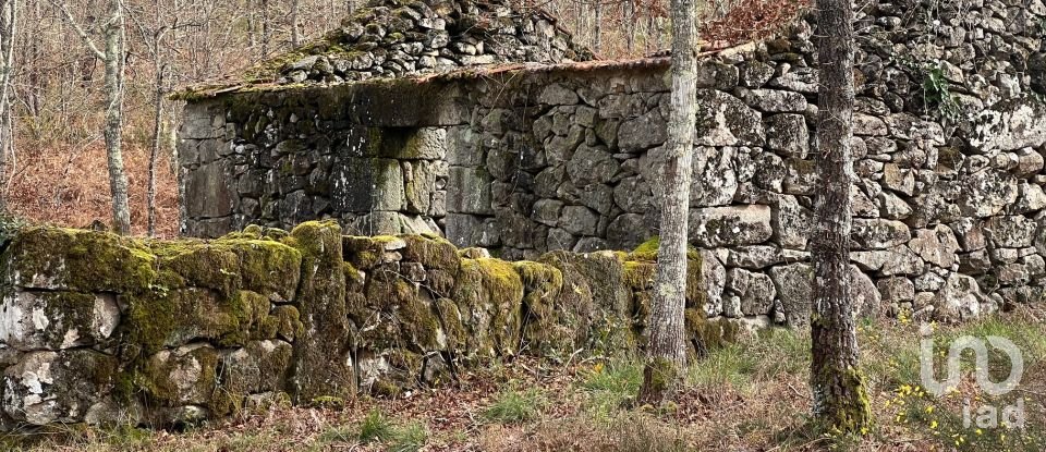 Terrain à Carvalhais e Candal de 26 258 m²