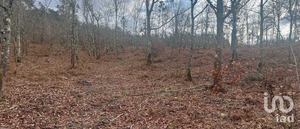 Terrain à Carvalhais e Candal de 26 258 m²