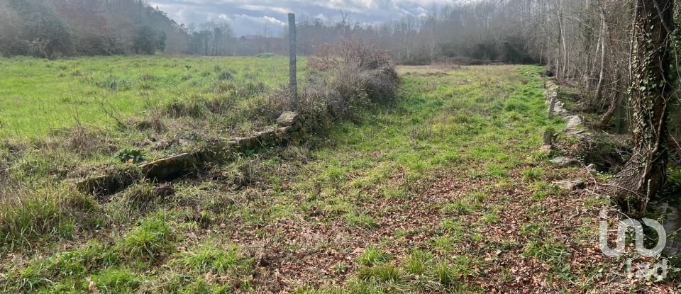 Terrain à Carvalhais e Candal de 26 258 m²