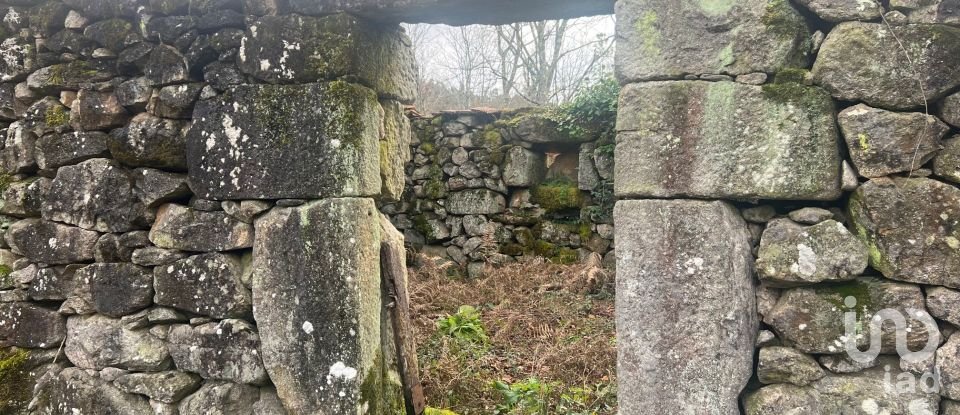 Terrain à Carvalhais e Candal de 26 258 m²