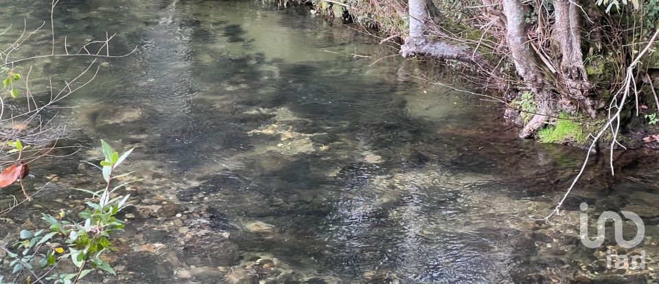 Terrain à Carvalhais e Candal de 26 258 m²