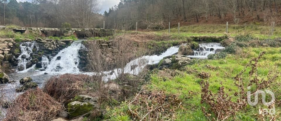 Terrain à Carvalhais e Candal de 26 258 m²