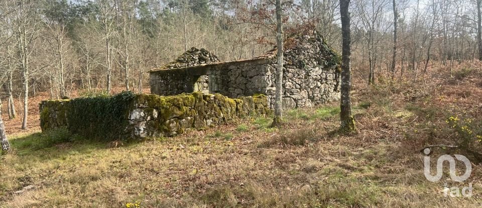 Terrain à Carvalhais e Candal de 26 258 m²