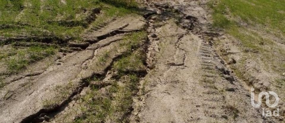 Terrain agricole à Peraboa de 130 000 m²