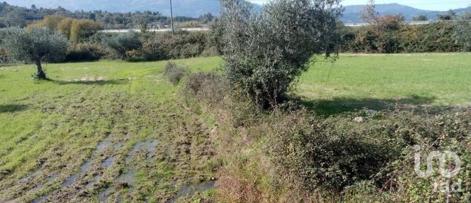 Terrain agricole à Peraboa de 130 000 m²