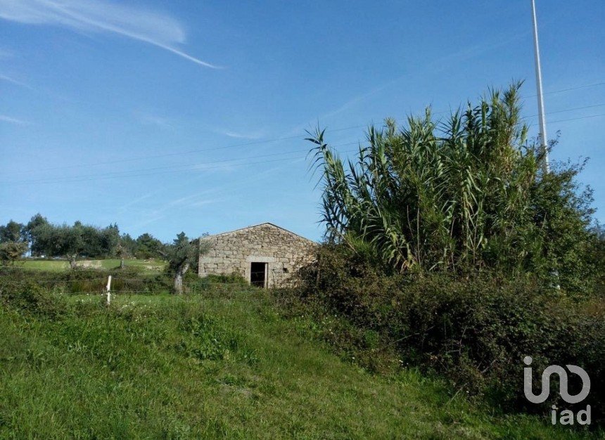 Terrain agricole à Peraboa de 130 000 m²