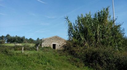 Terrain agricole à Peraboa de 130 000 m²