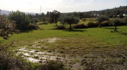 Terrain agricole à Peraboa de 130 000 m²
