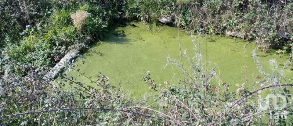 Terrain agricole à Peraboa de 130 000 m²