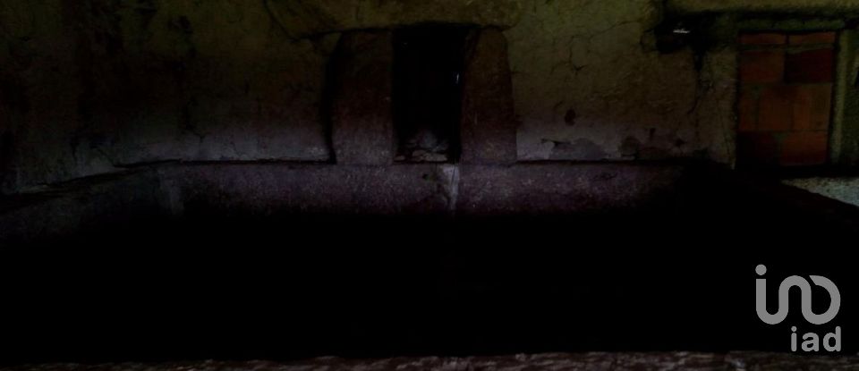 Terrain agricole à Peraboa de 130 000 m²