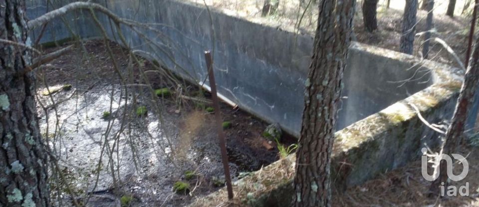 Terrain agricole à Peraboa de 130 000 m²