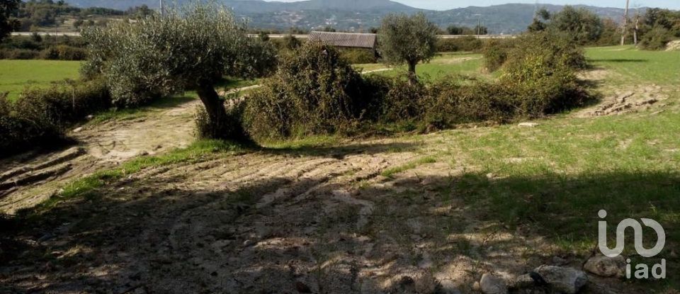 Terrain agricole à Peraboa de 130 000 m²