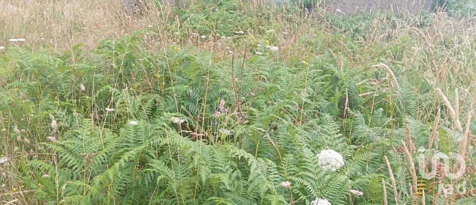 Maison T3 à Vila Nova de 140 m²