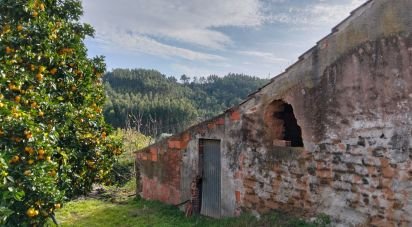 Building plot in Alcobertas of 1,280 m²