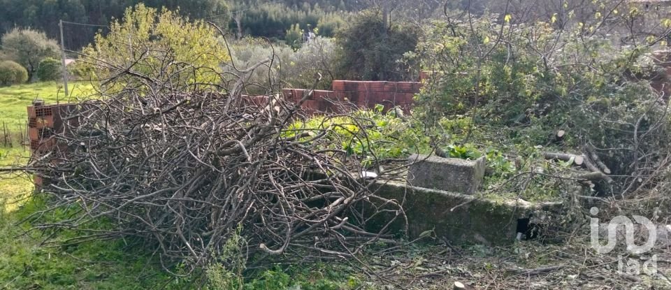 Terrain à bâtir à Alcobertas de 1 280 m²