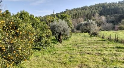 Terrain à bâtir à Alcobertas de 1 280 m²